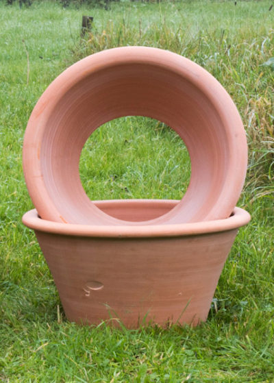 Terracotta Rimmed Grow Pot low